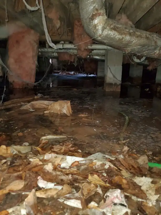 Crawl space flood assessment for Leak Detection & Repair in Westwood