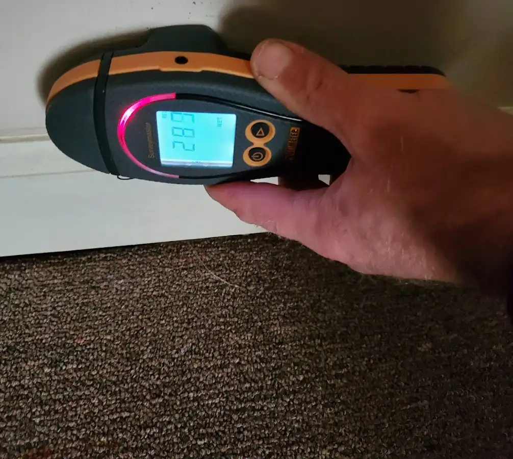 Moisture detection at baseboard during Storm Damage Restoration in Westwood